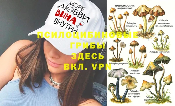 твердый Алзамай