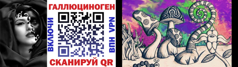 Псилоцибиновые грибы Psilocybine cubensis  закладки  Завитинск 